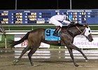 Forest Lake, Waha Wild Win Evangeline Stakes Forest Lake, Waha Wild Win Evangeline Stakes