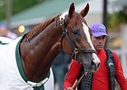 Haskin's Derby Report: Chrome Sweet Home Haskin's Derby Report: Chrome Sweet Home