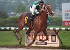 Touching Promise won the 2014 Ballerina.