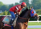 No Belmont Decision on Social Inclusion No Belmont Decision on Social Inclusion