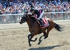 Kid Cruz won the 2014 Dwyer Stakes.<br><a target="blank" href="http://photos.bloodhorse.com/AtTheRaces-1/At-the-Races-2014/i-TRPRtmP">Order This Photo</a>