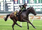 Annecdote flies home to win the Noble Damsel Stakes.<br><a target="blank" href="http://photos.bloodhorse.com/AtTheRaces-1/At-the-Races-2014/i-68Mxwhb">Order This Photo</a>