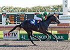 Quality Rocks won the Arlington-Washington Lassie over the Arlington Park Polytrack on Sept. 6.