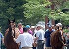 Fasig-Tipton Saratoga Sale