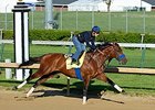 Sadler Sends Candy Boy to Final Derby Drill Sadler Sends Candy Boy to Final Derby Drill