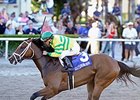 Onlyforyou<br><a target="blank" href="http://photos.bloodhorse.com/AtTheRaces-1/At-the-Races-2014/35724761_2vdnSX#!i=3088447619&k=gp6W4CF">Order This Photo</a>