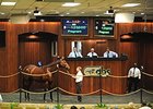 Hip 149 sold for $120,000 at the OBSC fall mixed sale.