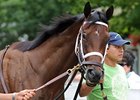 Sweet Whiskey tries for her first graded stakes in the Old Hat Stakes.