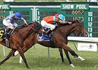 Tannery won the Misss Liberty Stakes at Monmouth Park on May 26.