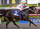 Tackleberry won the 2011 Sunshine Millions Classic.