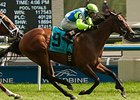 Ageless Royal North Stakes.