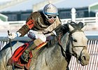 Bandbox won the 2014 General George Handicap.