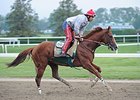 California Chrome galloping on May 23.
<br><a target="blank" href="http://photos.bloodhorse.com/TripleCrown/2014-Triple-Crown/Belmont-Stakes-146/i-vwKmKxr">Order This Photo</a>