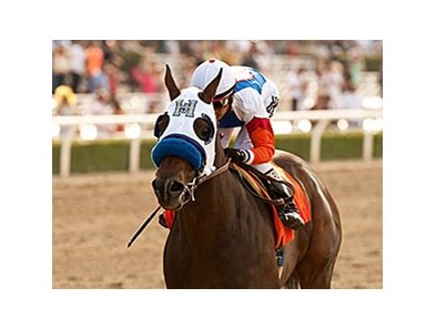 Fury Kapcori leaves the others behind in the Precisionist Stakes.