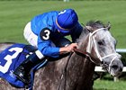 Taptowne faces 8 in the Texas Mile.