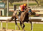 Sham Stakes: Midnight Hawk Soars Over Kristo Sham Stakes: Midnight Hawk Soars Over Kristo