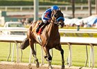 Santa Anita Handicap Handle Increases 23% Santa Anita Handicap Handle Increases 23%