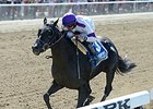 Belmont Sprint Track Record for Clearly Now Belmont Sprint Track Record for Clearly Now