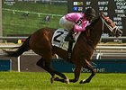 Lexie Lou wins the Wonder Where Stakes.