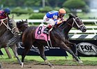 Stopchargingmaria takes on older fillies and mares in the Beldame Stakes.
<br><a target="blank" href="http://photos.bloodhorse.com/AtTheRaces-1/At-the-Races-2014/i-tgjDQFg">Order This Photo</a>