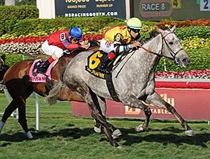 Inimitable Romanee After 3rd in Row in Orchid Inimitable Romanee After 3rd in Row in Orchid