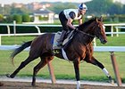 Tonalist
<br><a target="blank" href="http://photos.bloodhorse.com/TripleCrown/2014-Triple-Crown/Belmont-Stakes-146/i-F63Qf3W">Order This Photo</a>