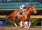 Lea wins the Donn Handicap.
<br><a target="blank" href="http://photos.bloodhorse.com/AtTheRaces-1/At-the-Races-2014/35724761_2vdnSX#!i=3067381095&k=Fp6P7Tm">Order This Photo</a>
