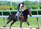 Close Hatches
<br><a target="blank" href="http://photos.bloodhorse.com/AtTheRaces-1/At-the-Races-2014/i-HX5WK7p">Order This Photo</a>