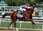 Groupie Doll <br><a target="blank" href="http://photos.bloodhorse.com/BreedersCup/2013-Breeders-Cup/Filly-and-Mare-Sprint/33149887_tpsLsn#!i=2879067433&k=bmCT6kS">Order This Photo</a>
