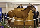 Gross Up at F-T Texas Sale; Average Down Gross Up at F-T Texas Sale; Average Down