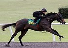 Hip No. 139, a bay colt by first-crop sire Midshipman, worked an eighth of a mile in :9 4/5.