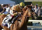 Wise Dan Recovering Well After Surgery Wise Dan Recovering Well After Surgery