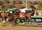 Sahara Sky surges late to win the San Carlos Stakes.