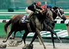 My Flag winning the grade I Breeders' Cup Juvenile Fillies.