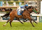 Stormy Lucy wins the Santa Barbara Stakes.