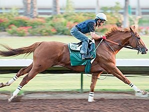 California Chrome Sharpens Up at Los Alamitos California Chrome Sharpens Up at Los Alamitos
