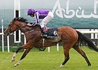 Marvellous won the 2014 Etihad Airways Irish One Thousand Guineas. <br><a target="blank" href="http://photos.bloodhorse.com/AtTheRaces-1/At-the-Races-2014/i-NVzQzKC">Order This Photo</a>