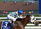 Moreno running in the Whitney.
<br><a target="blank" href="http://photos.bloodhorse.com/AtTheRaces-1/At-the-Races-2014/i-4LvhRPw">Order This Photo</a>