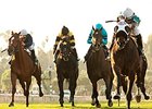 Weewinnin leads the way in the California Cup Turf Classic.