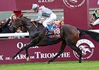 Treve<br><a target="blank" href="http://photos.bloodhorse.com/AtTheRaces-1/at-the-races-2013/27257665_QgCqdh#!i=2814130822&k=hH49sZs">Order This Photo</a>