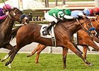 Sky High Gal won the Wishing Well Stakes on Feb 9.