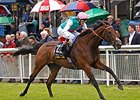 Kingman Emphatic Irish Guineas Winner Kingman Emphatic Irish Guineas Winner
