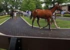 Fasig-Tipton Kentucky July Sale