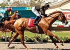 Judy the Beauty wins the Rancho Bernardo.