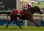 Dimension leads the way to victory in the Play the King Stakes.