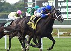 Imperia wins the Pilgrim Stakes.
<br><a target="blank" href="http://photos.bloodhorse.com/AtTheRaces-1/At-the-Races-2014/i-9GKJQ7V">Order This Photo</a>
