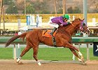 California Chrome cruises to victory in the California Cup Derby.