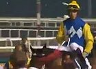 Dubai Al Quoz Sprint - Mike de Kock Dubai Al Quoz Sprint - Mike de Kock