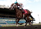 Conquest Harlanate winning the Mazarine Stakes.
