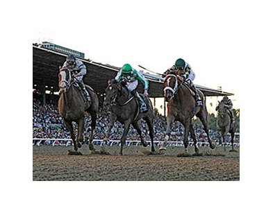 The 2013 Breeders' Cup Classic.
<br><a target="blank" href="http://photos.bloodhorse.com/BreedersCup/2013-Breeders-Cup/Classic/33150031_7ZnLk4#!i=2917585229&k=BmmH9rN">Order This Photo</a>